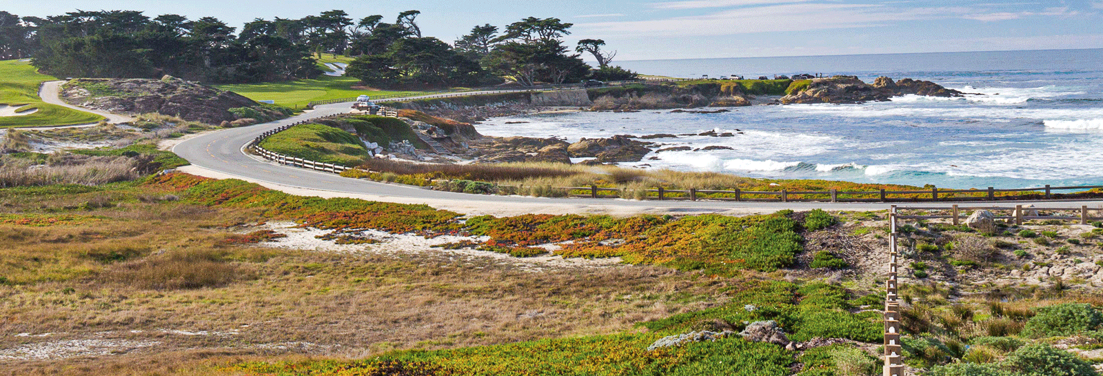 Fanshell Beach Header