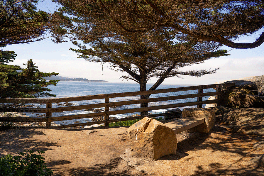 Pescadero Point and Hill Preserve Image 3