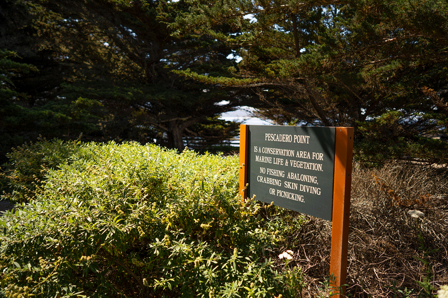 Pescadero Point and Hill Preserve Image 2