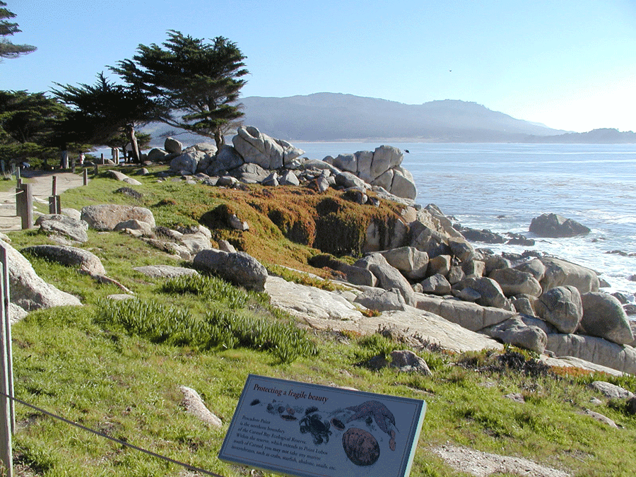 Pescadero Point and Hill Preserve Image